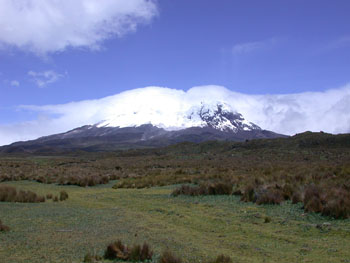 High Paramo below Antisana volcano